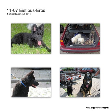 Eistibus-Eros met foto's van de maand juli